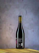 Célia & David Large - Beaujolais Villages Nouveau - Massaï - 2025 2
