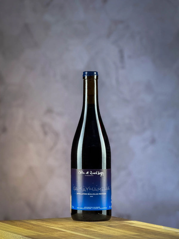Célia & David Large - Beaujolais Villages - Gamayhameha