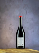 Frederic Berne - Beaujolais-Lantignié - Les Vergers - 2023 2