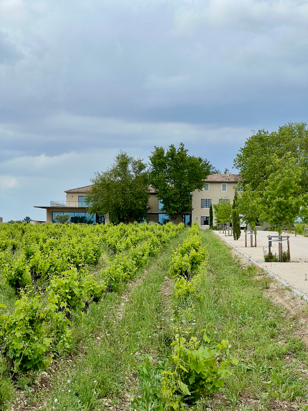 Bois d'Arlène vineyard