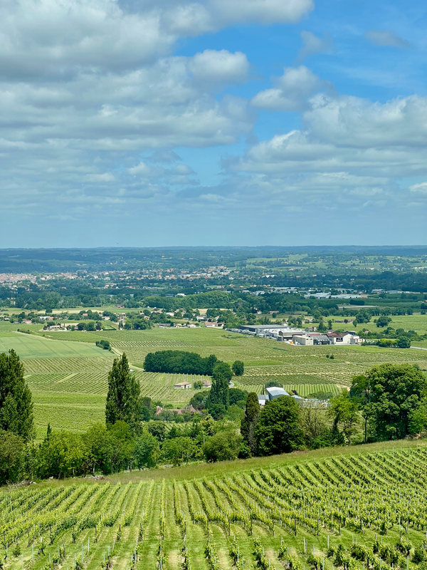 Sud-Ouest
