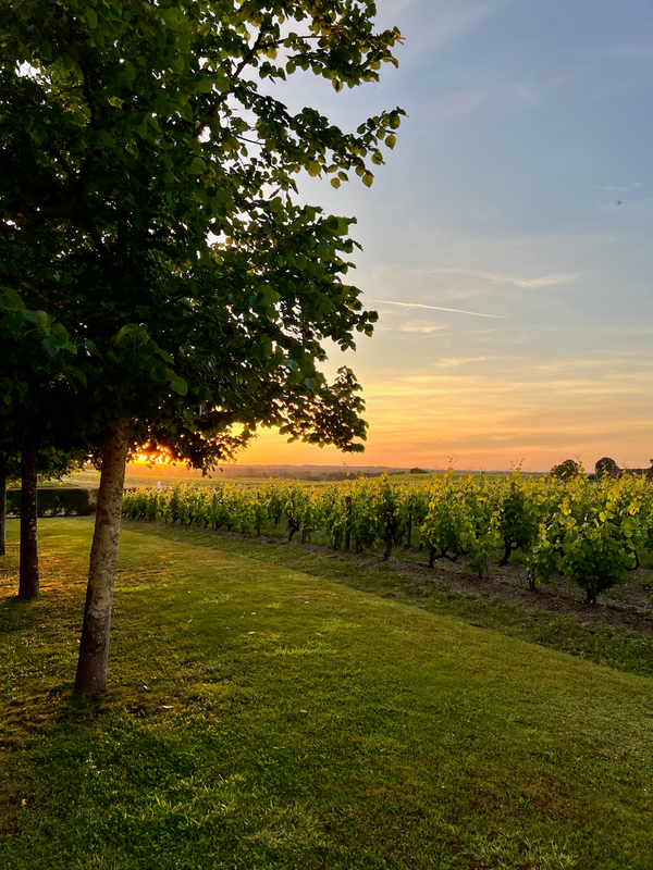 Sauternes & Barsac