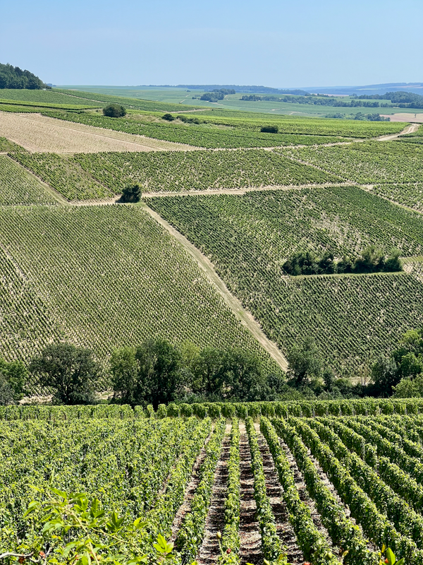 Chablis