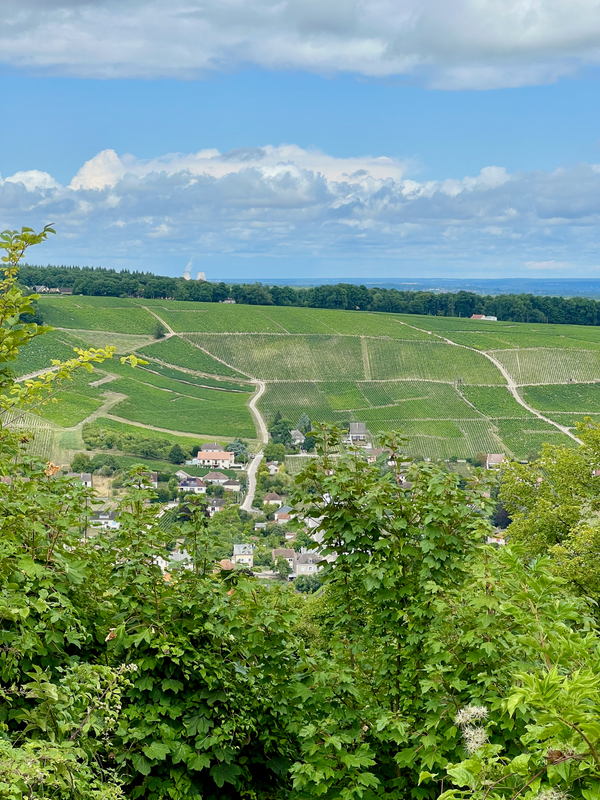 Centre-Loire (Sancerre & Pouilly-Fumé)