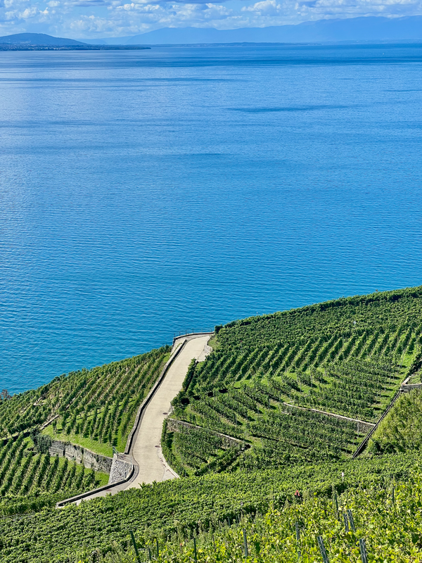 Vaud