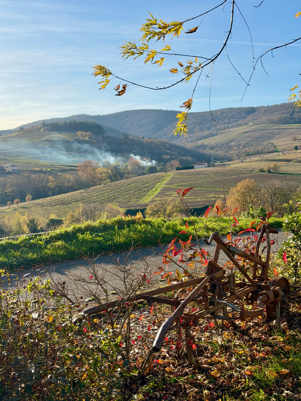 Beaujolais