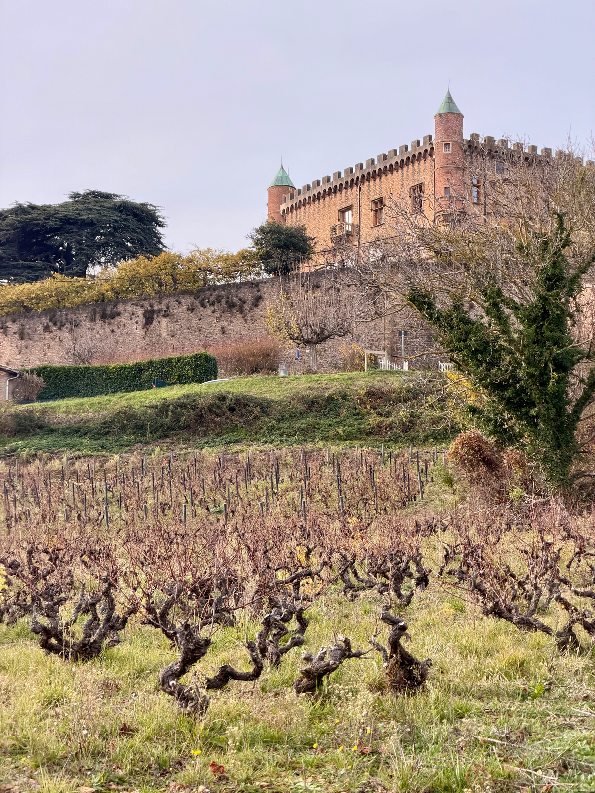 Beaujolais Beyond Nouveau