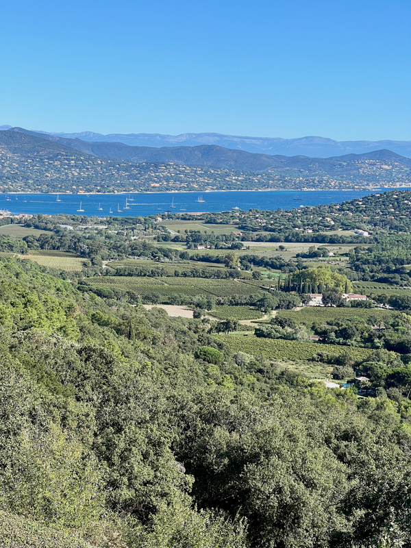 Provence