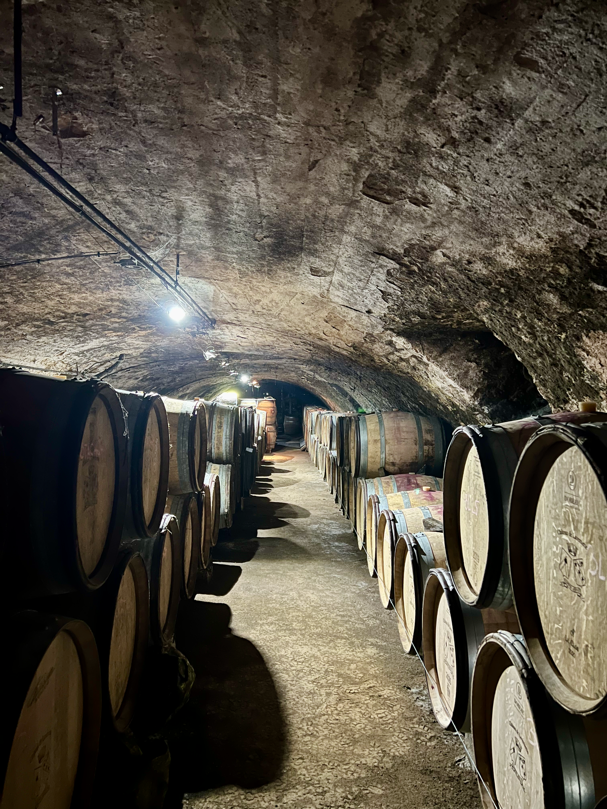 Château de Lavernette cellar