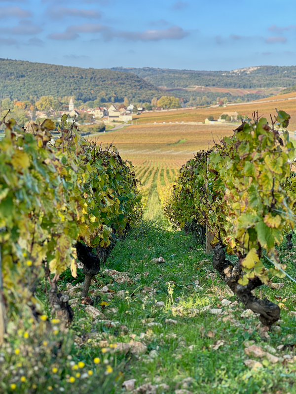 Bourgogne