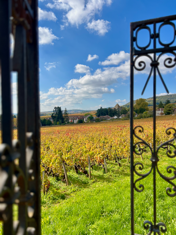 Côte de Beaune