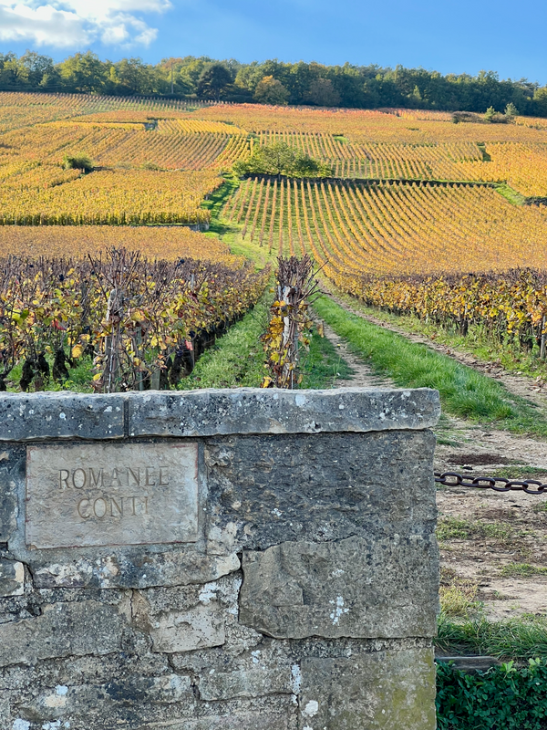 Côte de Nuits